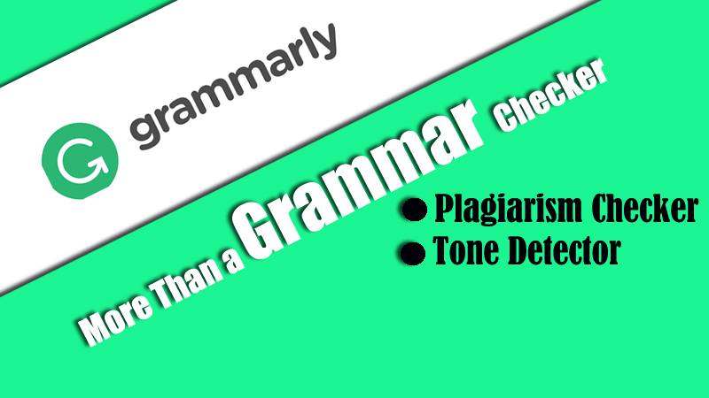 Grammarly Software